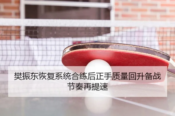 樊振东恢复系统合练后正手质量回升备战节奏再提速
